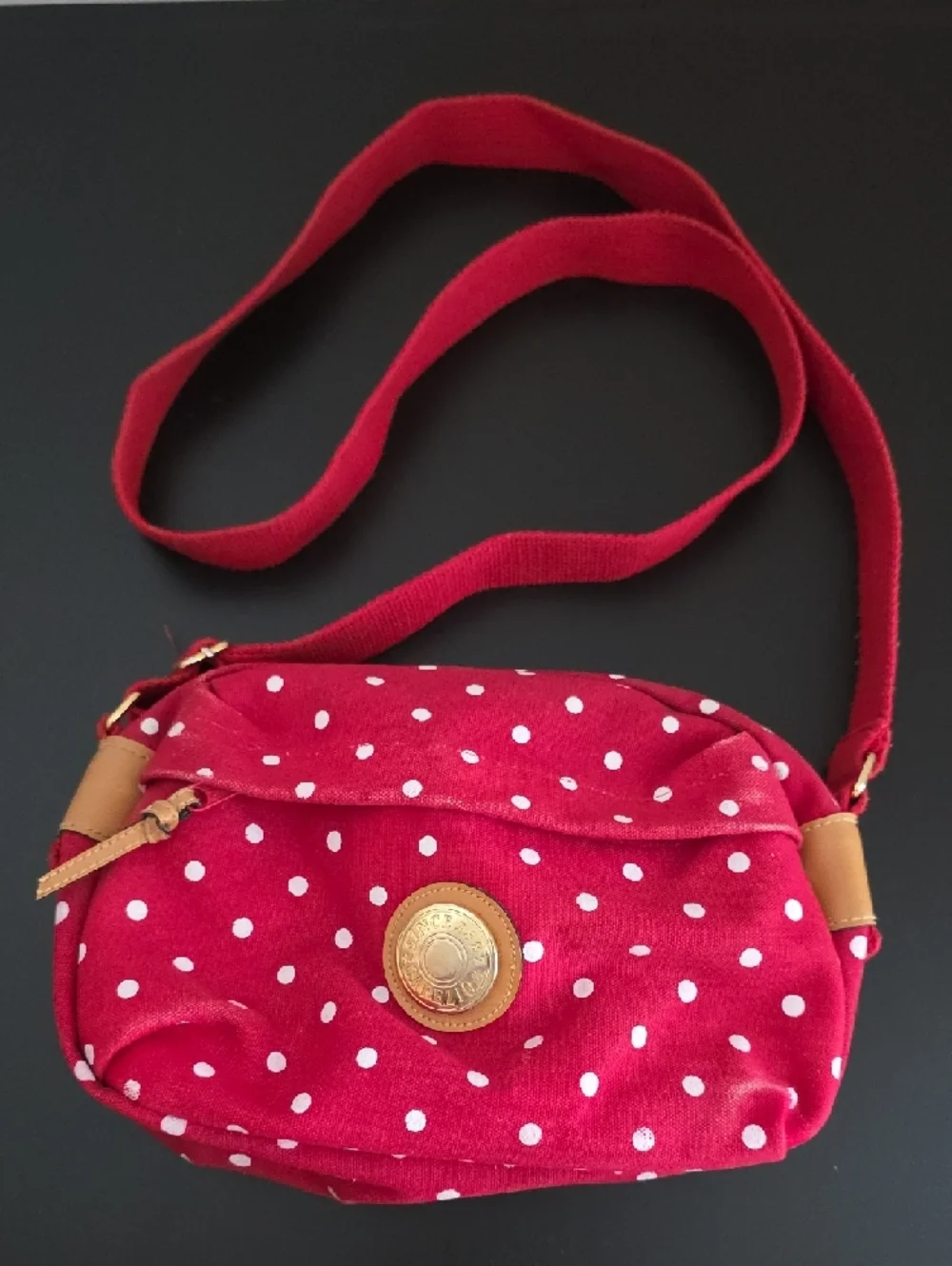 Capezio Polkadot Crossbody Bag